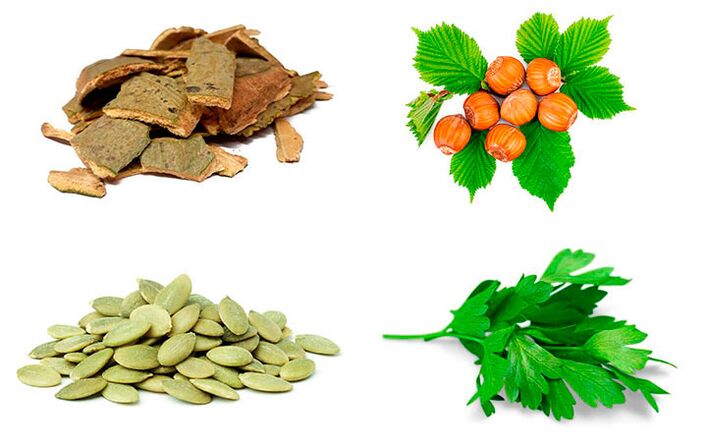 Remèdes populaires pour lutter contre la prostatite - écorce de tremble, graines de citrouille, persil et noisettes